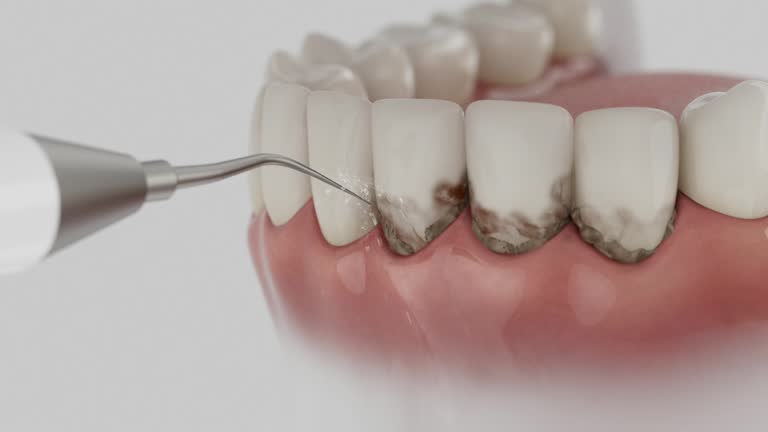 Reliable Dental contractor in Ashland, PA by Dentist Open Now